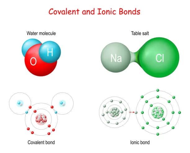 Diagram from the Bonding and Chemical Interactions MCAT notes