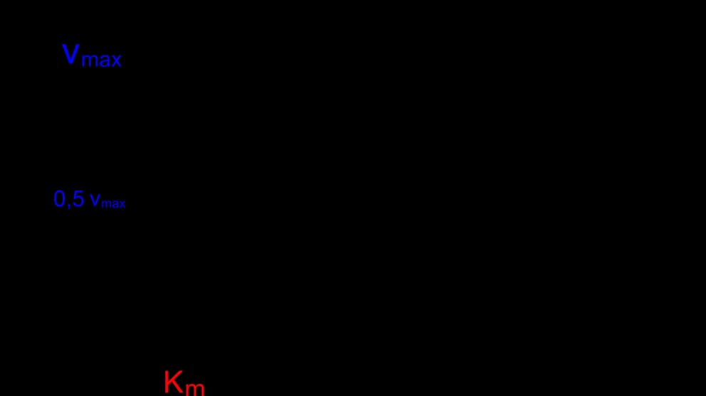Diagram from the Enzymes MCAT notes