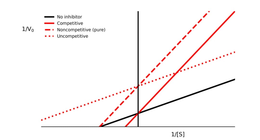 Diagram from the Enzymes MCAT notes